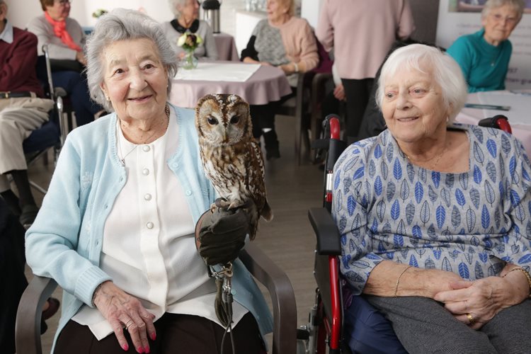 Bird is the word! Ascot care home residents spread their wings to celebrate the best of British birds